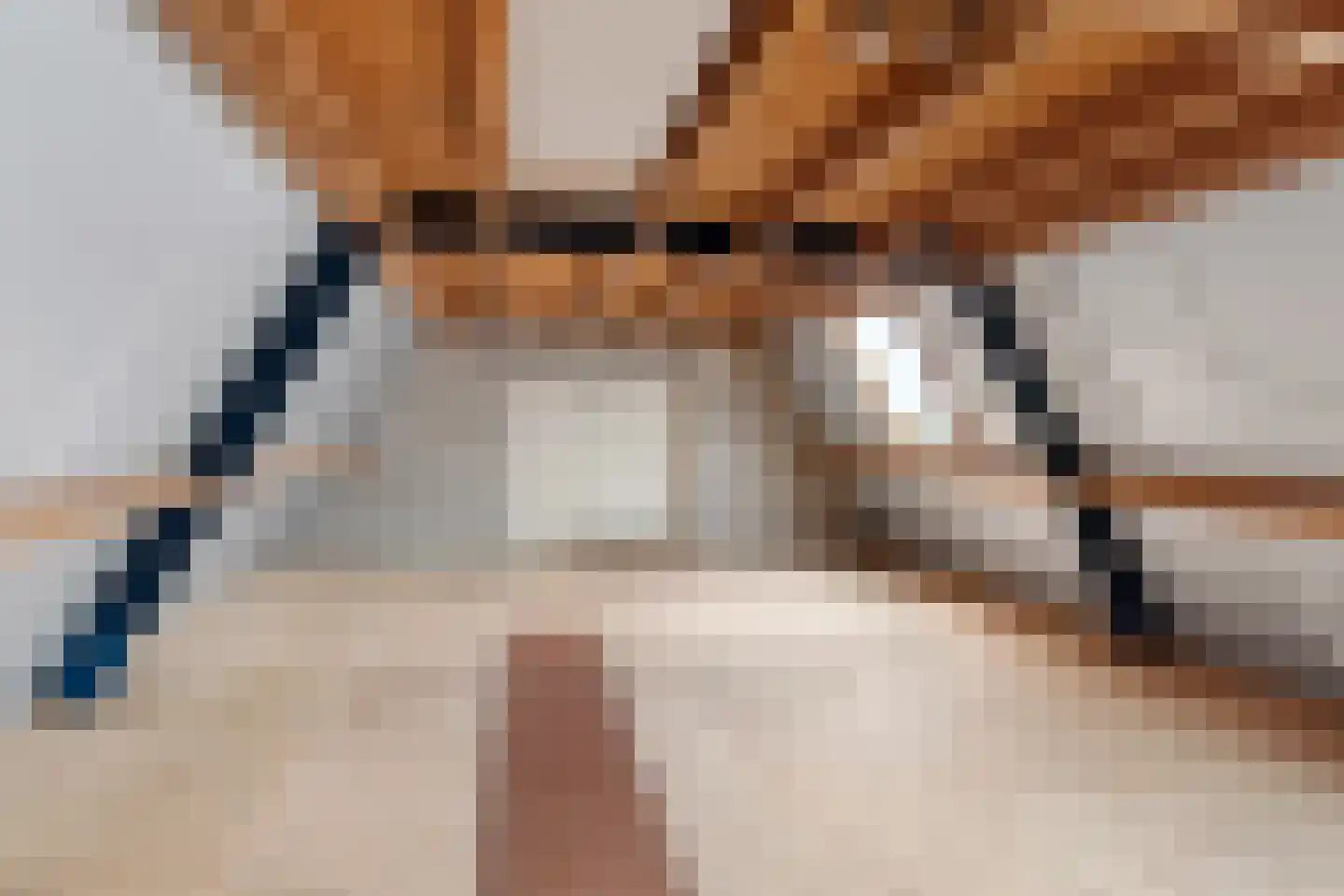 Ferlinge Stasjonsstrjitte 30 De Westereen thumbnail 37