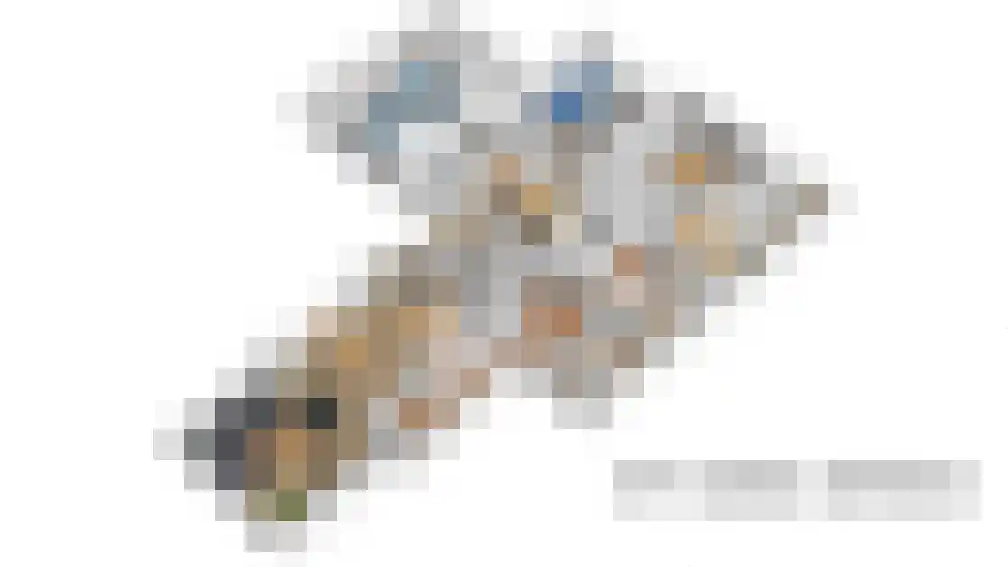 Ferlinge Stasjonsstrjitte 63 De Westereen thumbnail 17