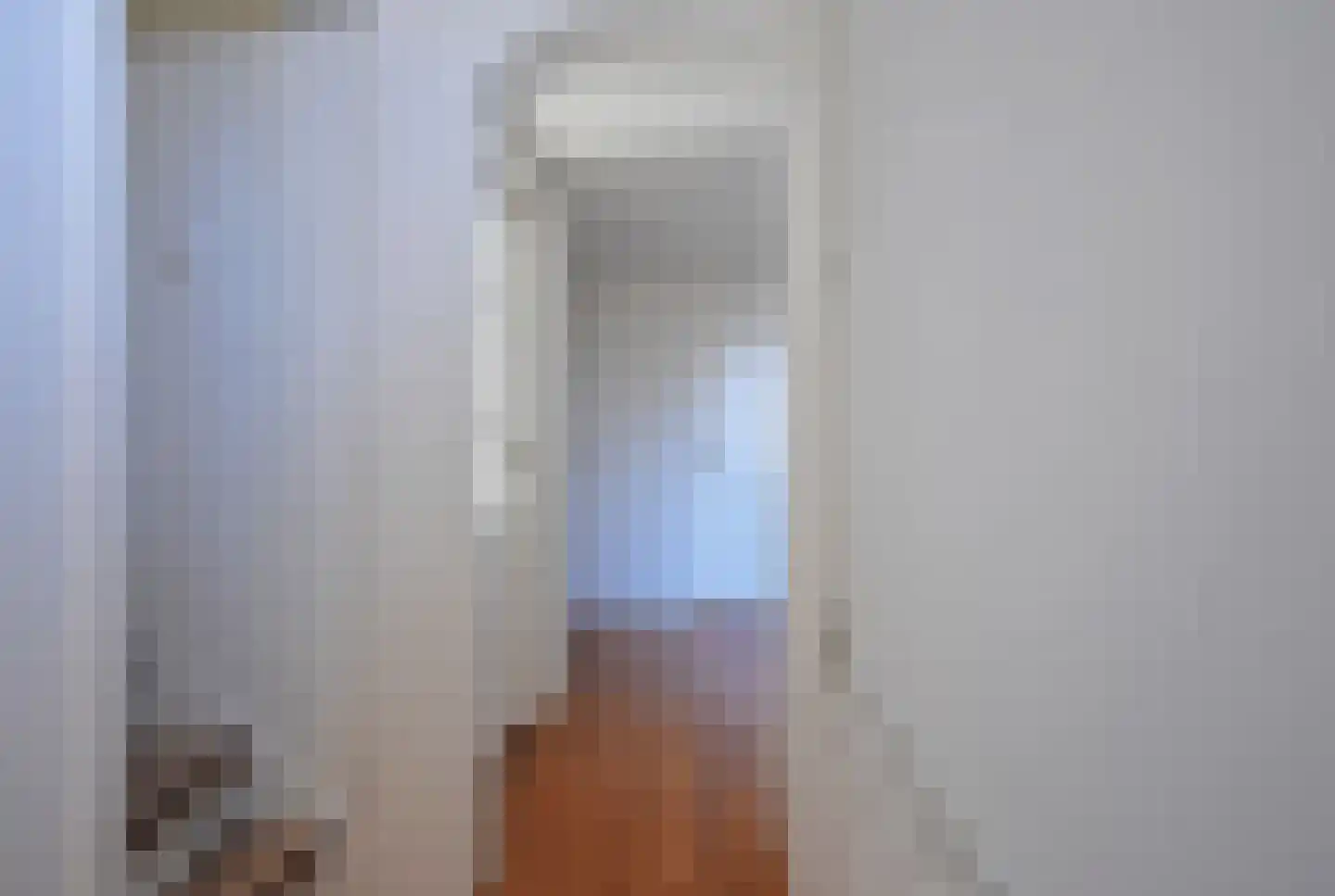 Ferlinge Stasjonsstrjitte 63 De Westereen thumbnail 23