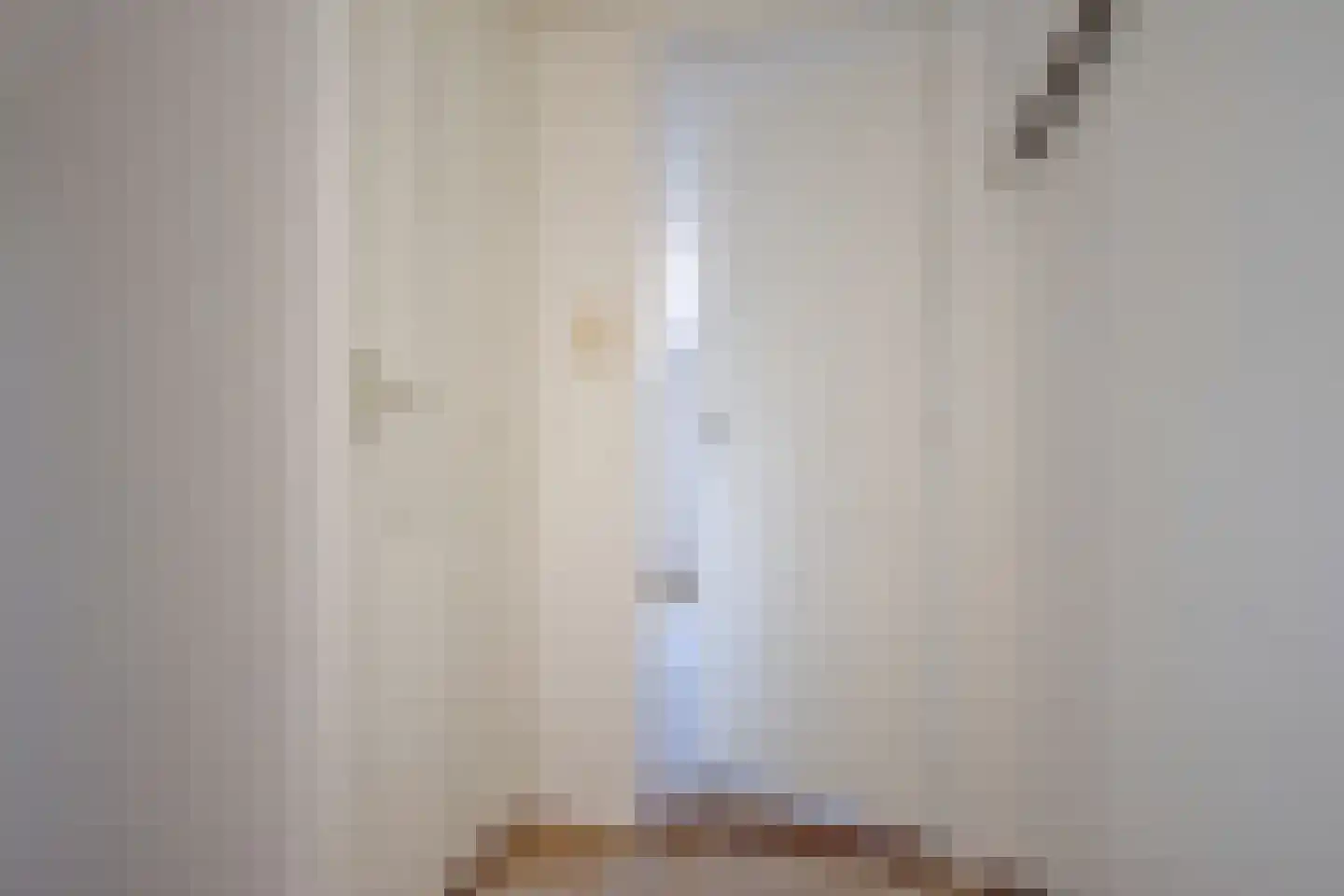 Ferlinge Stasjonsstrjitte 63 De Westereen thumbnail 48