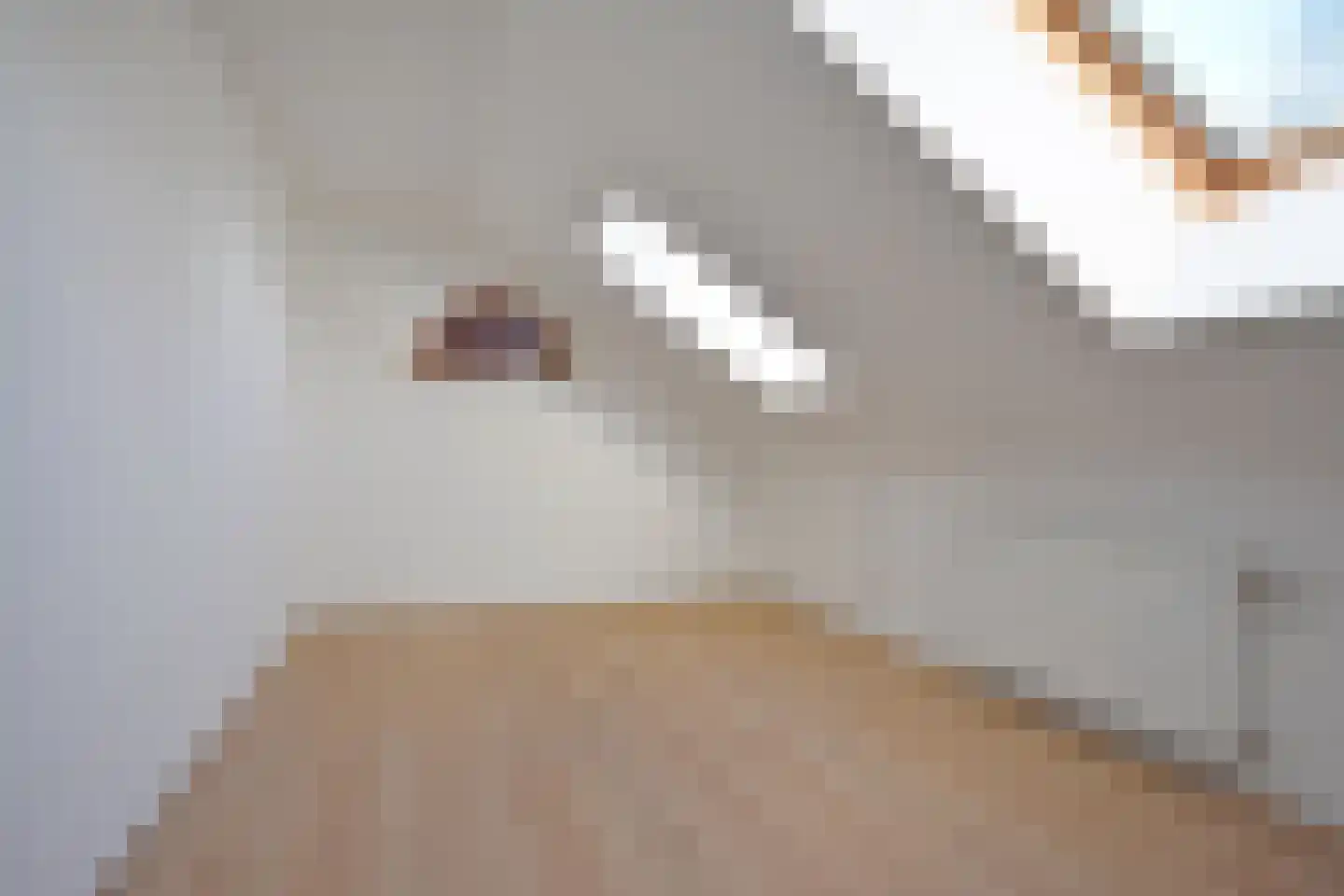 Ferlinge Stasjonsstrjitte 63 De Westereen thumbnail 54
