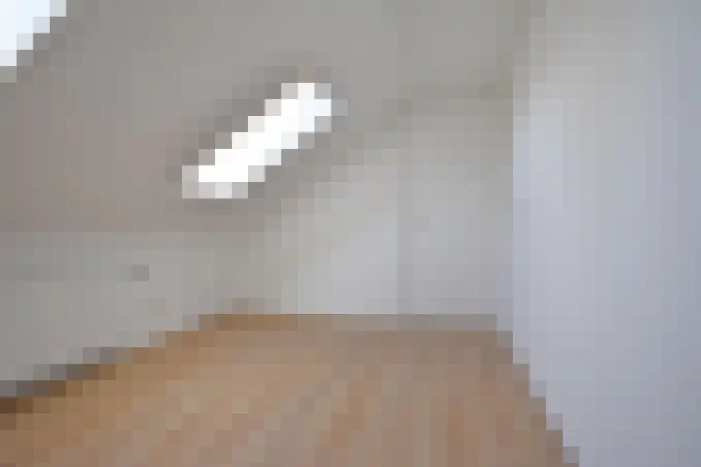 Ferlinge Stasjonsstrjitte 63 De Westereen thumbnail 55