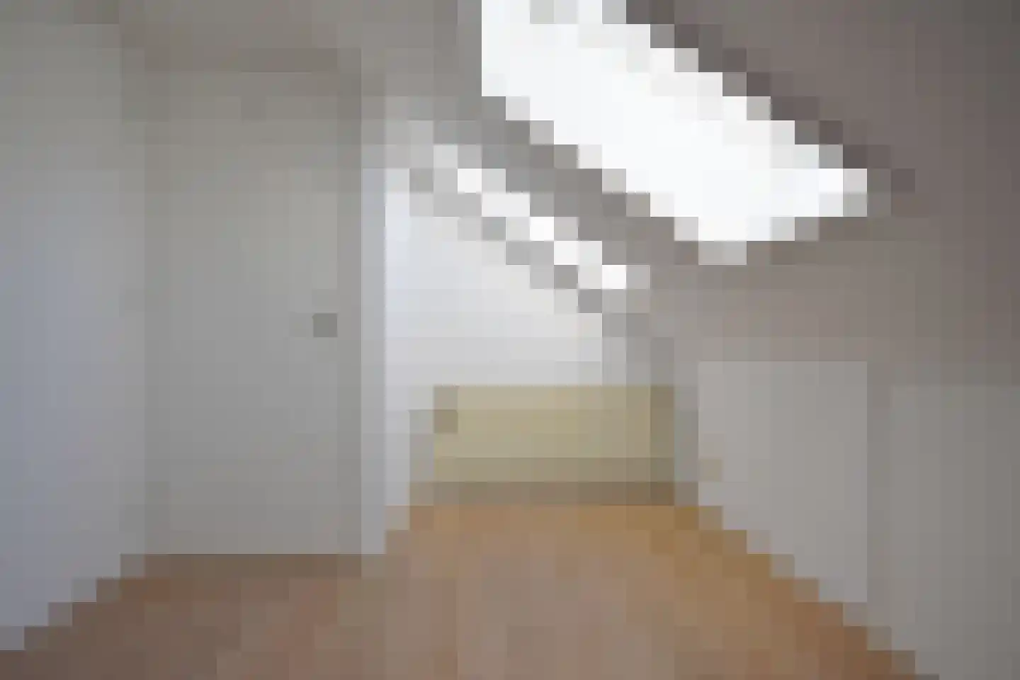 Ferlinge Stasjonsstrjitte 63 De Westereen thumbnail 57