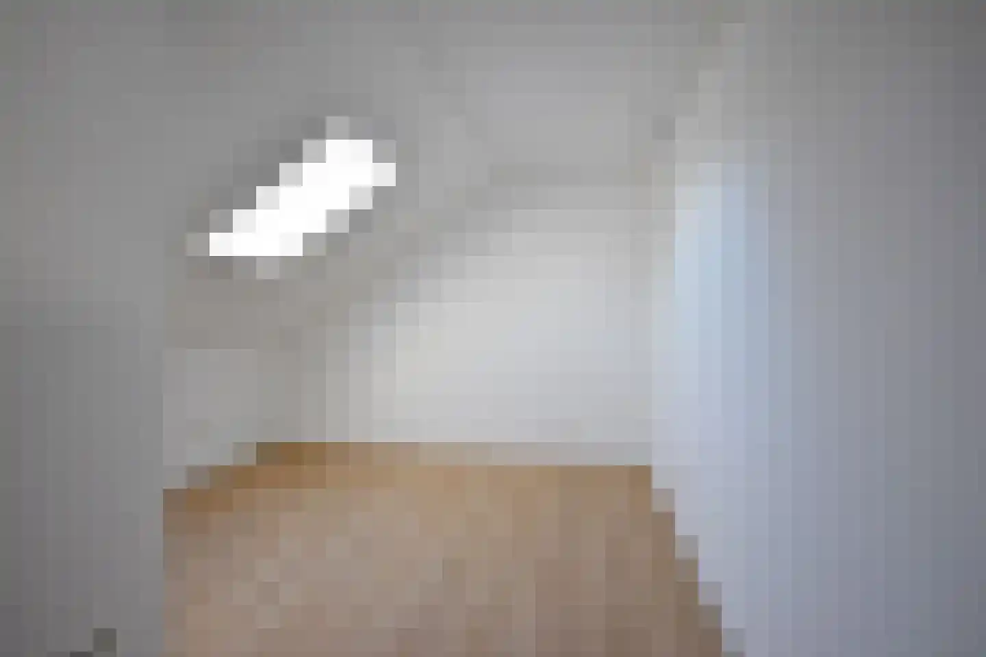 Ferlinge Stasjonsstrjitte 63 De Westereen thumbnail 58