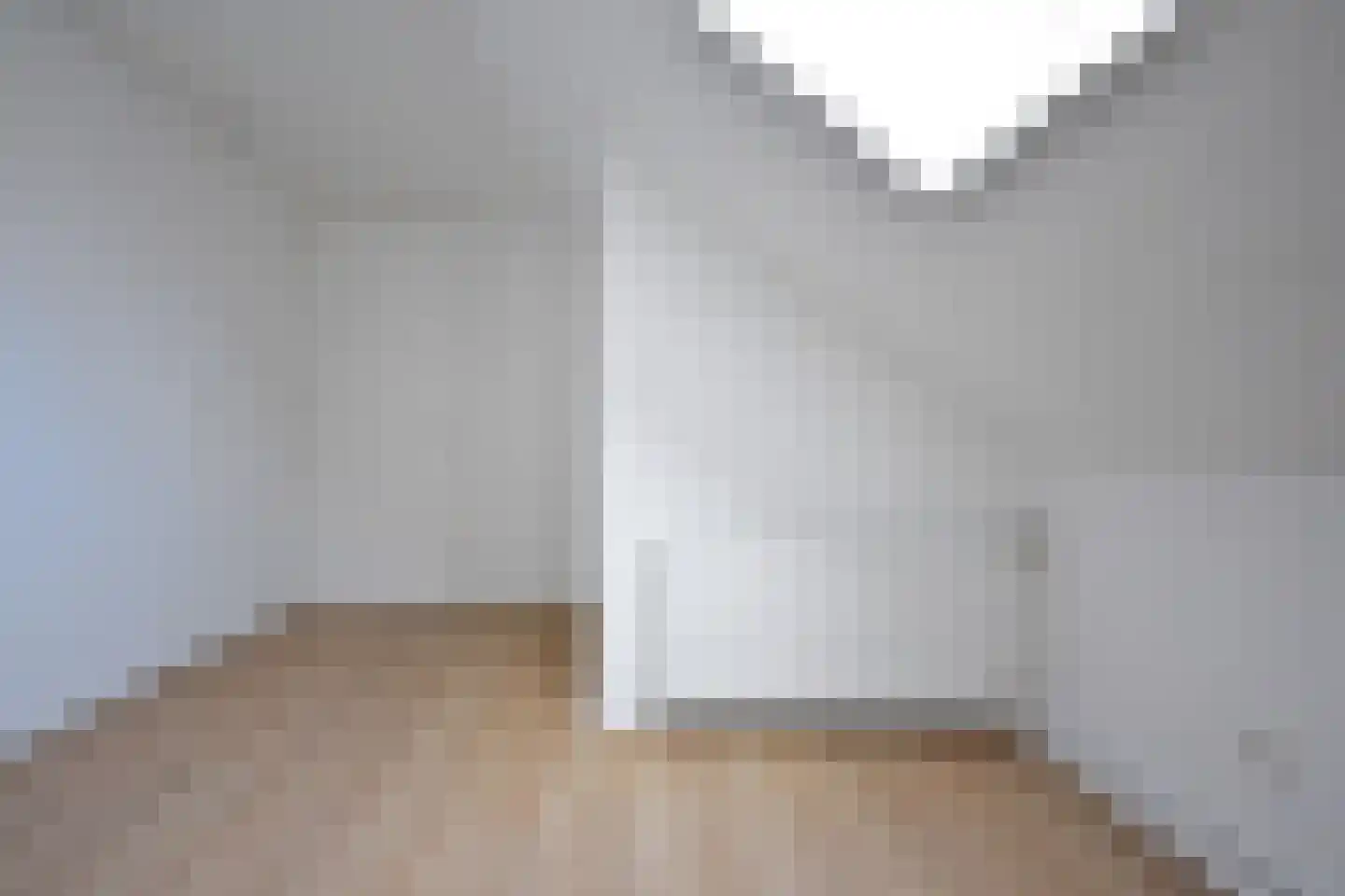 Ferlinge Stasjonsstrjitte 63 De Westereen thumbnail 59