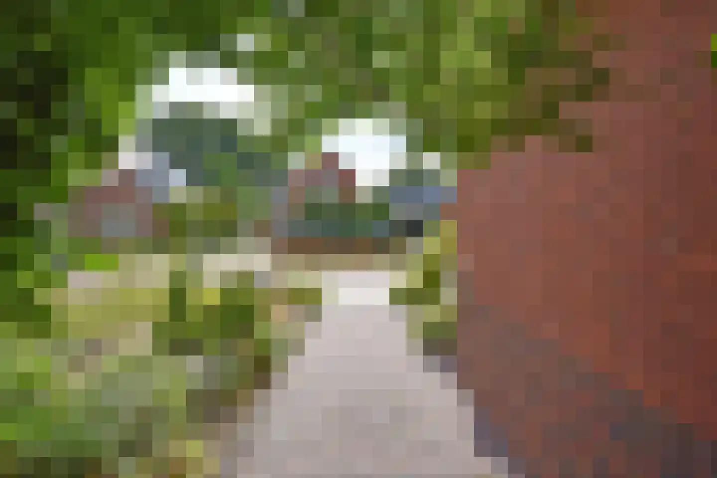Ferlinge Stasjonsstrjitte 63 De Westereen thumbnail 6