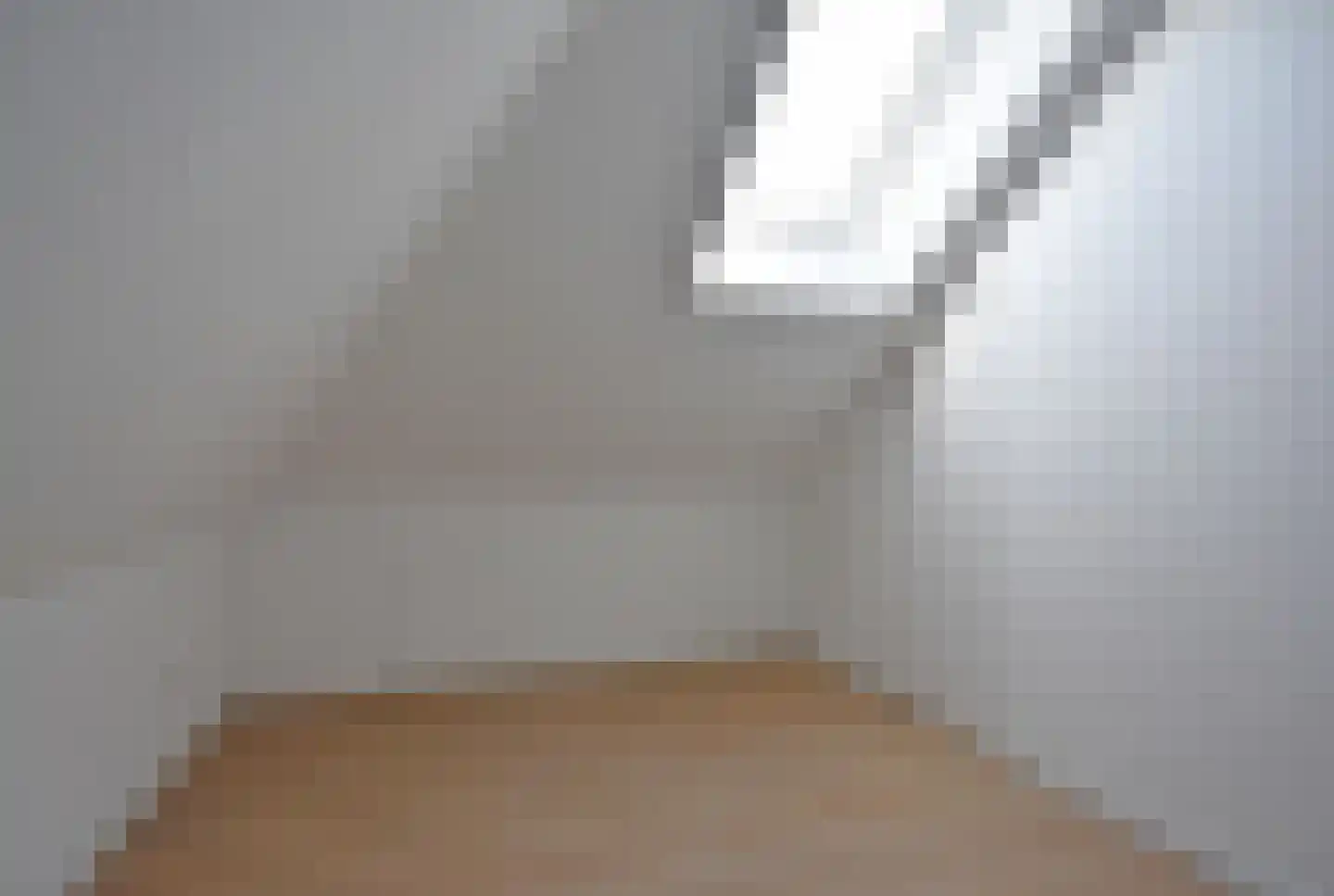 Ferlinge Stasjonsstrjitte 63 De Westereen thumbnail 60