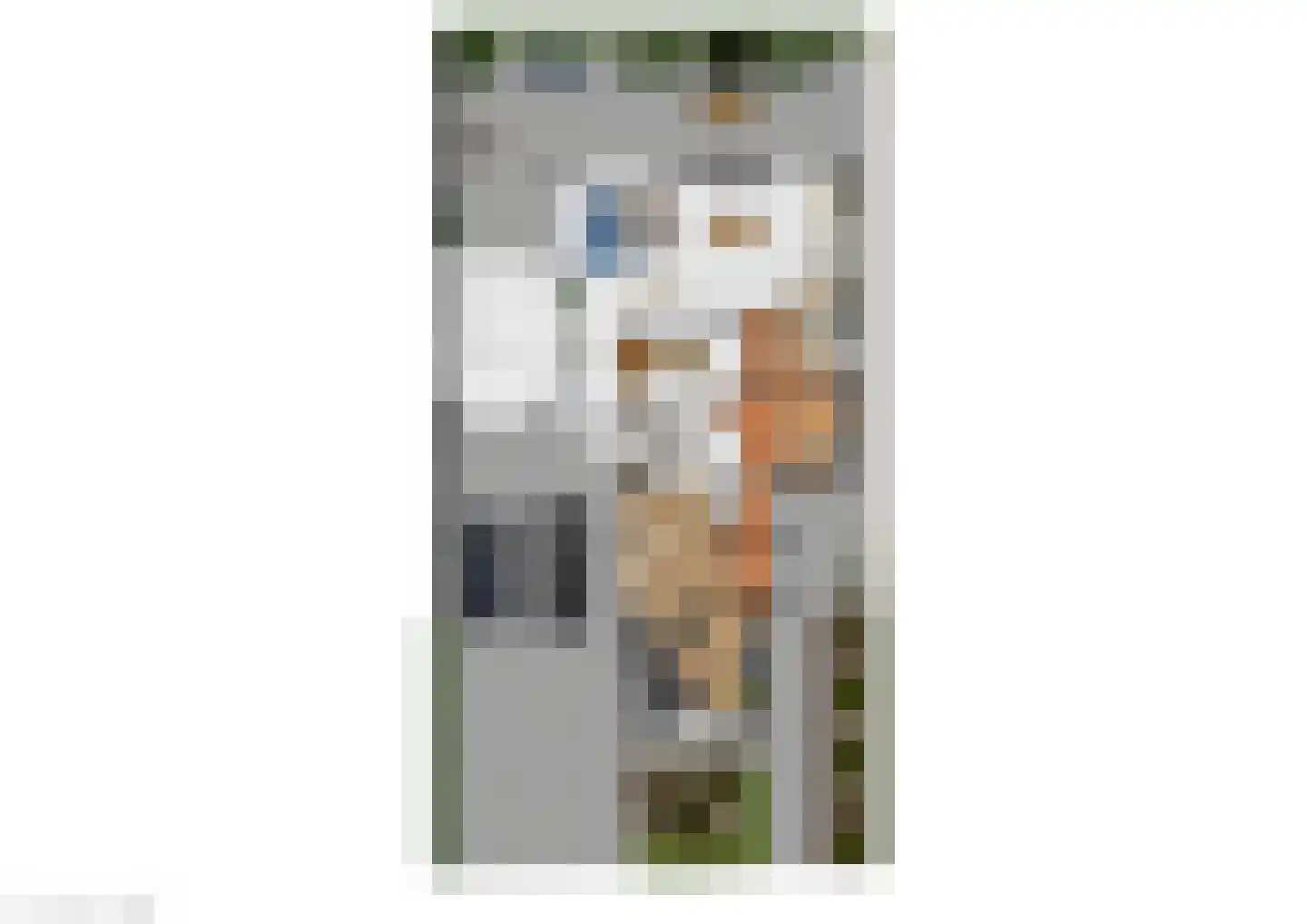 Ferlinge Stasjonsstrjitte 63 De Westereen thumbnail 63