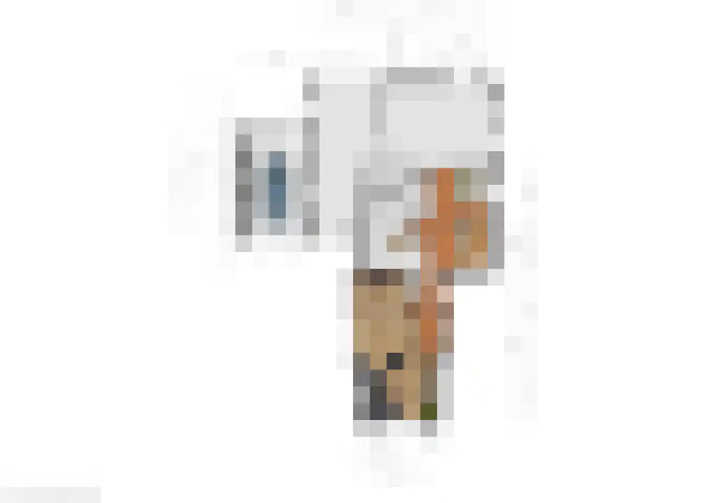 Ferlinge Stasjonsstrjitte 63 De Westereen thumbnail 64