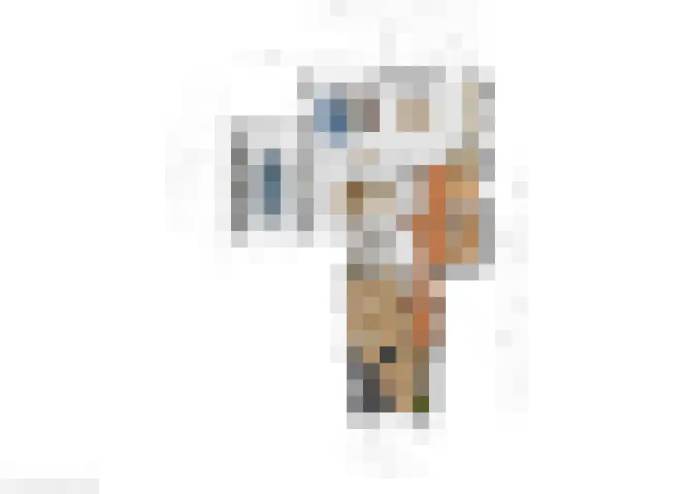 Ferlinge Stasjonsstrjitte 63 De Westereen thumbnail 65
