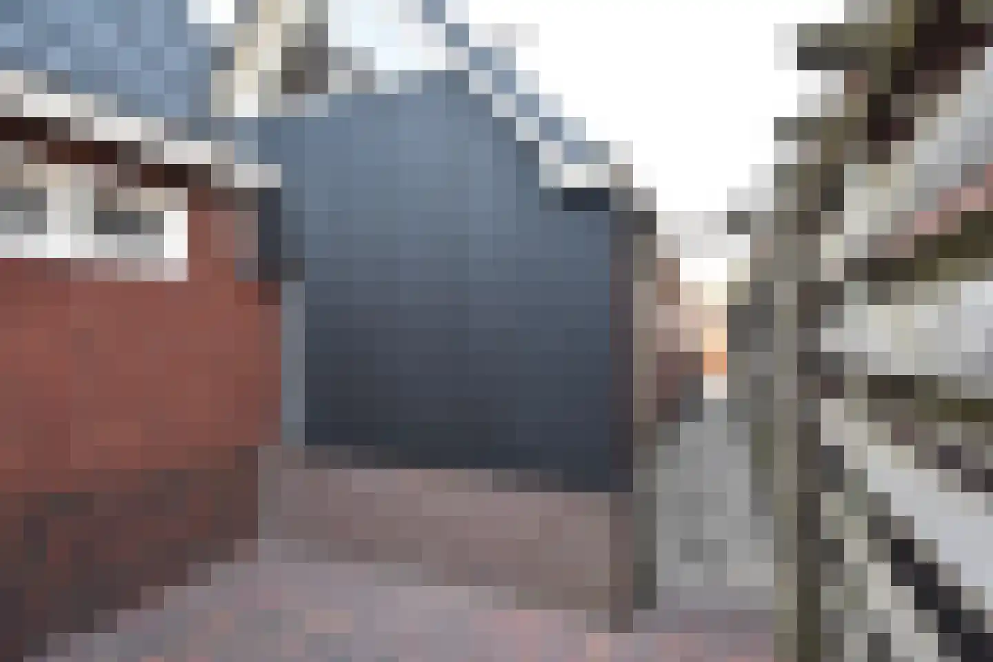 Ferlinge Stasjonsstrjitte 63 De Westereen thumbnail 8