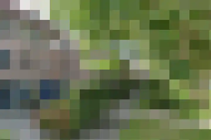 Fermoor 18 Uithoorn thumbnail 27