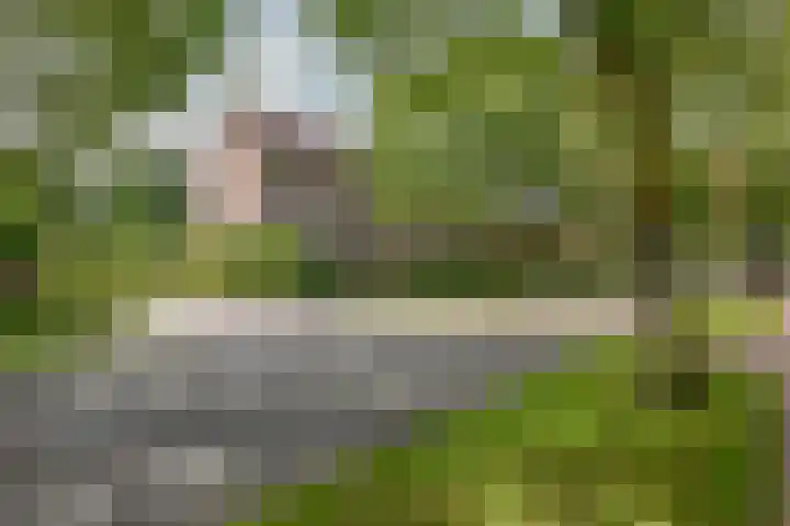 Fermoor 18 Uithoorn thumbnail 28