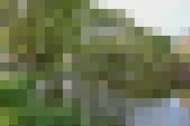 Fermoor 18 Uithoorn thumbnail 30