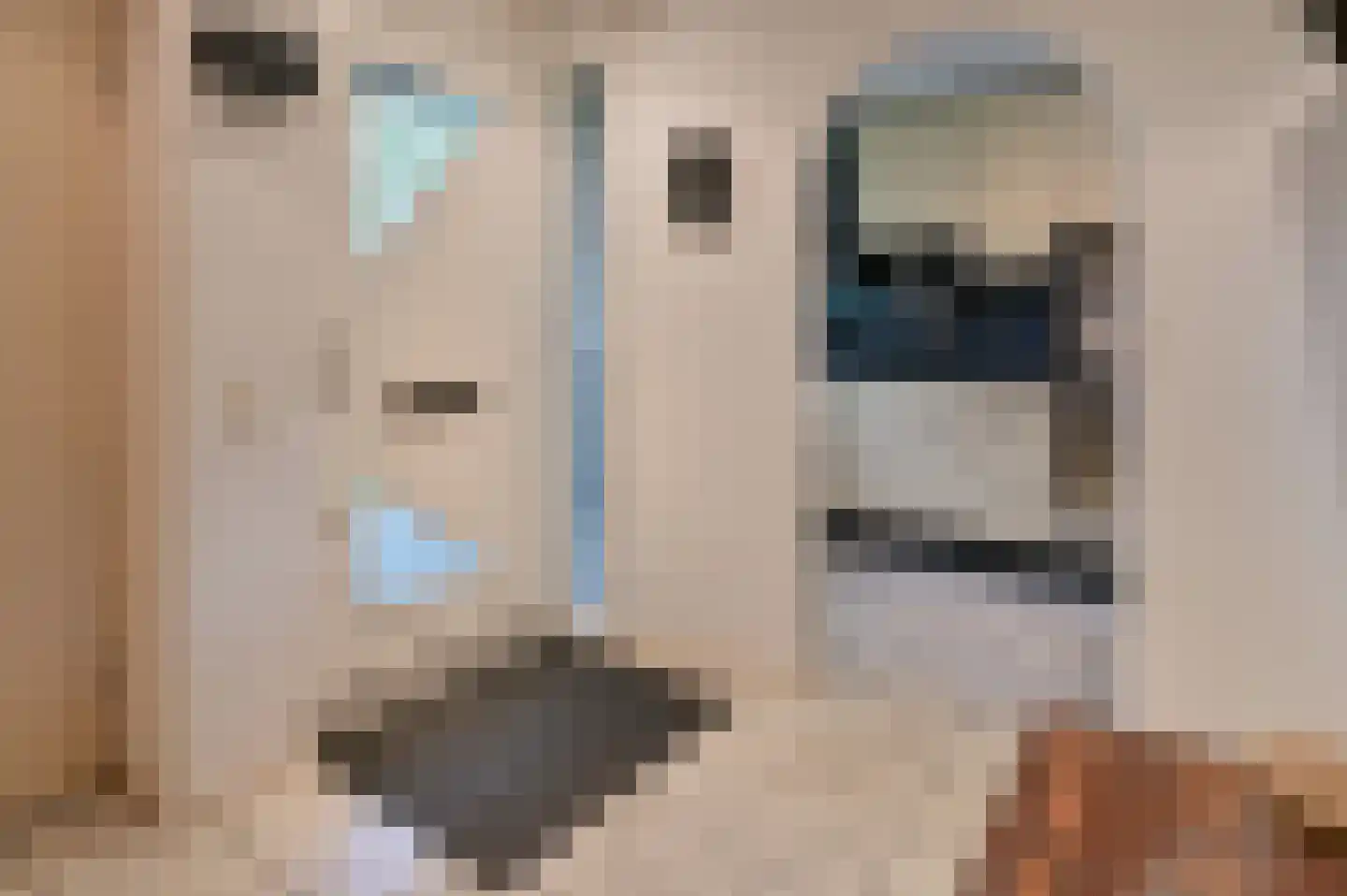 Fermoor 6 Uithoorn thumbnail 6