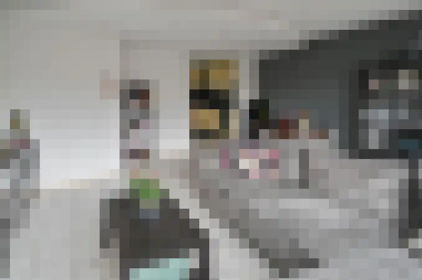 Fermoor 6 Uithoorn thumbnail 9