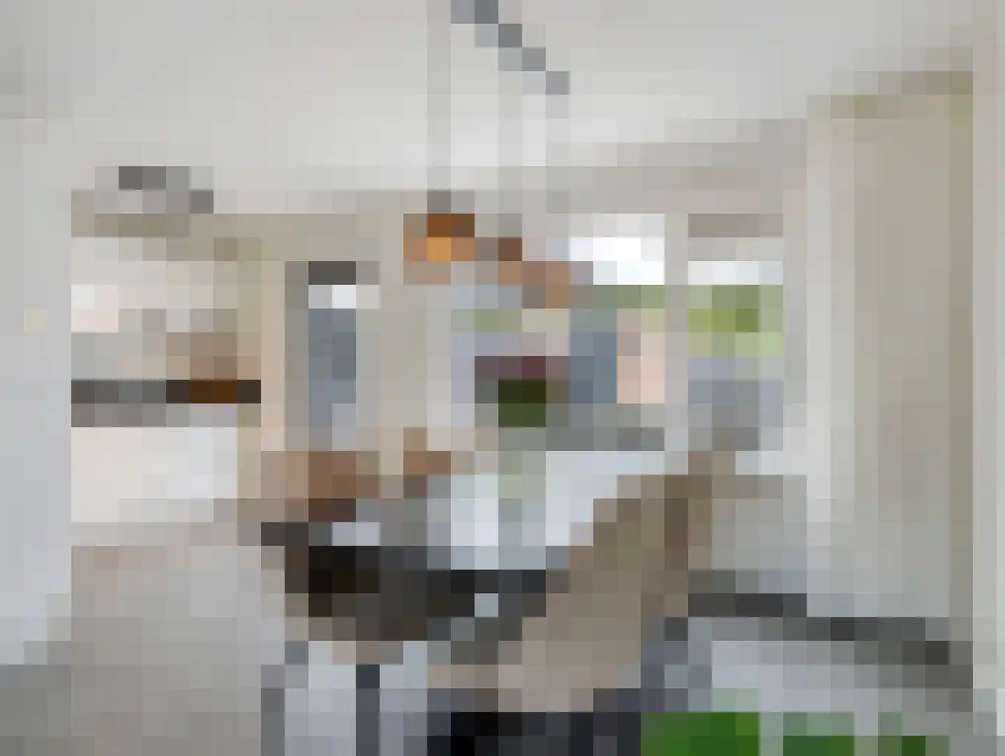 Fernandezlaan 14 Utrecht thumbnail 4