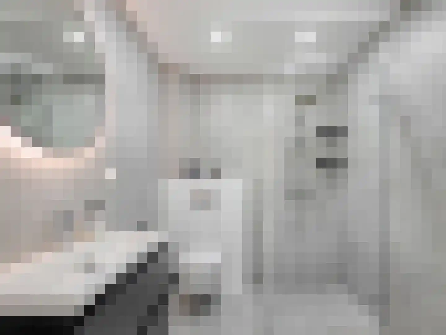 Fernandezlaan 14 Utrecht thumbnail 7