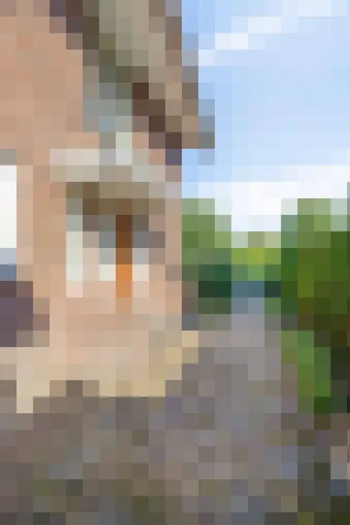 Fernhoutstraat 1 Kampen thumbnail 64