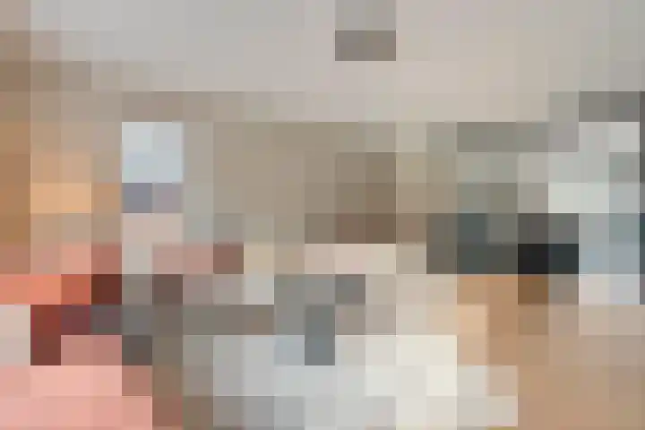 Fernhoutwerf 17 Dedemsvaart thumbnail 10