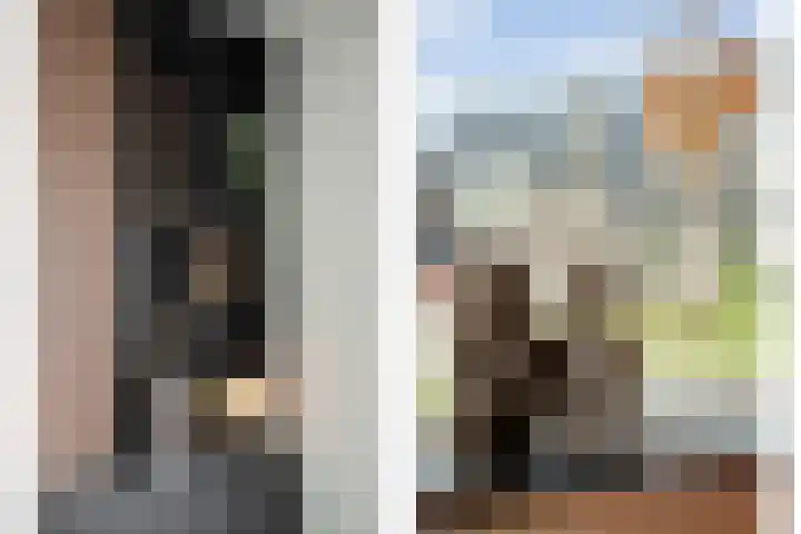 Fernhoutwerf 17 Dedemsvaart thumbnail 13