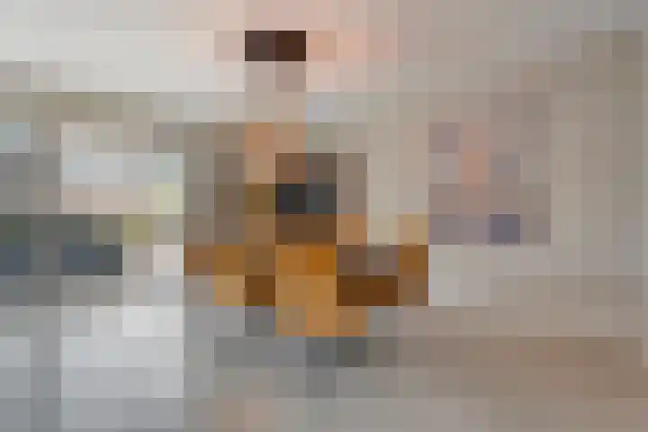 Fernhoutwerf 17 Dedemsvaart thumbnail 14