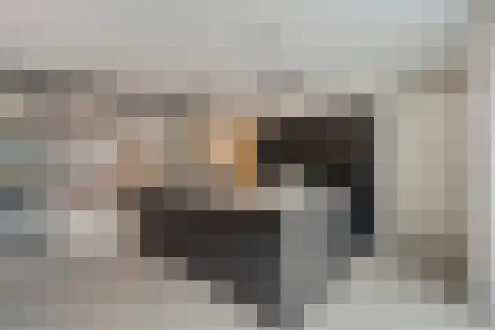 Fernhoutwerf 17 Dedemsvaart thumbnail 18