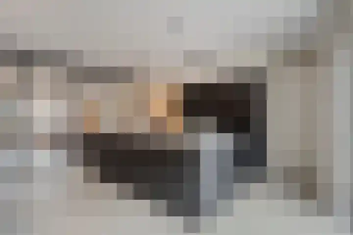 Fernhoutwerf 17 Dedemsvaart thumbnail 19