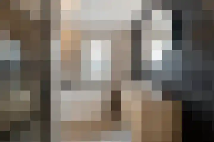 Fernhoutwerf 17 Dedemsvaart thumbnail 28