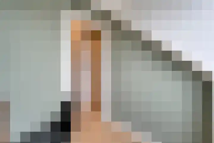 Fernhoutwerf 17 Dedemsvaart thumbnail 36
