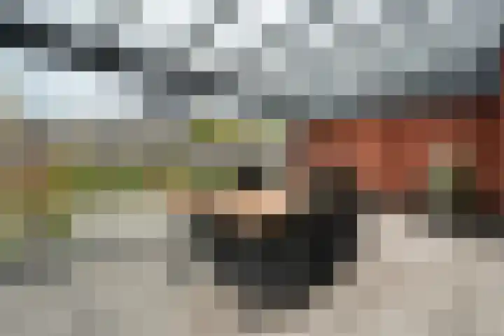 Fernhoutwerf 17 Dedemsvaart thumbnail 40