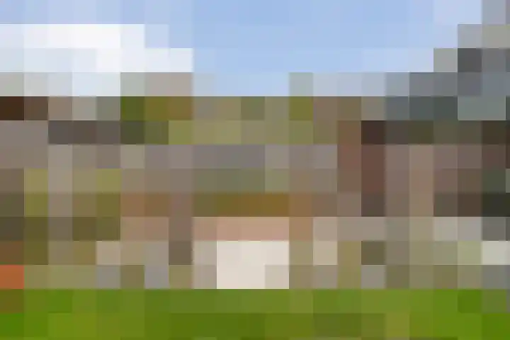 Fernhoutwerf 17 Dedemsvaart thumbnail 43