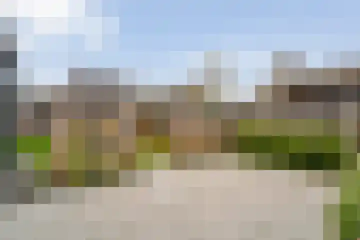 Fernhoutwerf 17 Dedemsvaart thumbnail 44