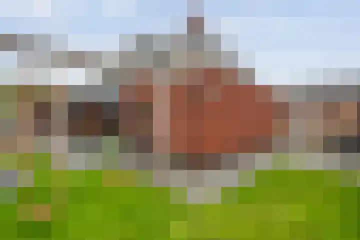 Fernhoutwerf 17 Dedemsvaart thumbnail 46