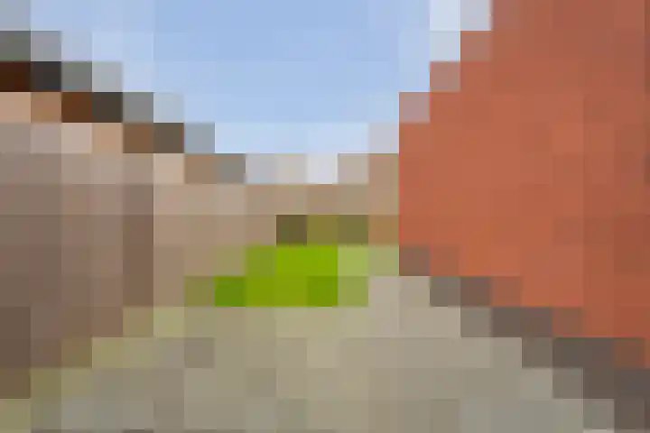 Fernhoutwerf 17 Dedemsvaart thumbnail 46