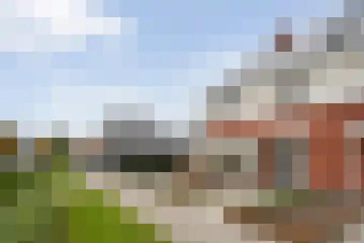 Fernhoutwerf 17 Dedemsvaart thumbnail 51