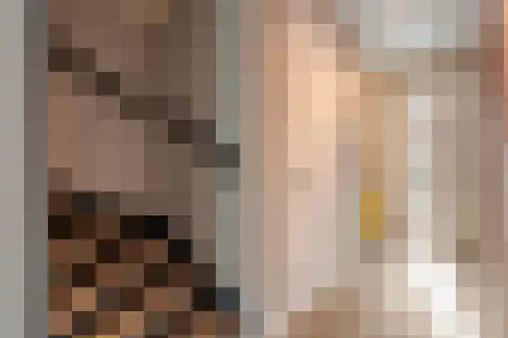 Fernhoutwerf 17 Dedemsvaart thumbnail 6