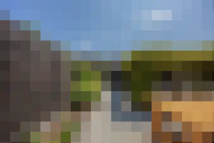 Ferry Portierstraat 10 Nijmegen thumbnail 29