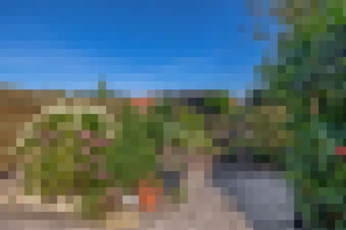 Festing 5 Wijckel thumbnail 27