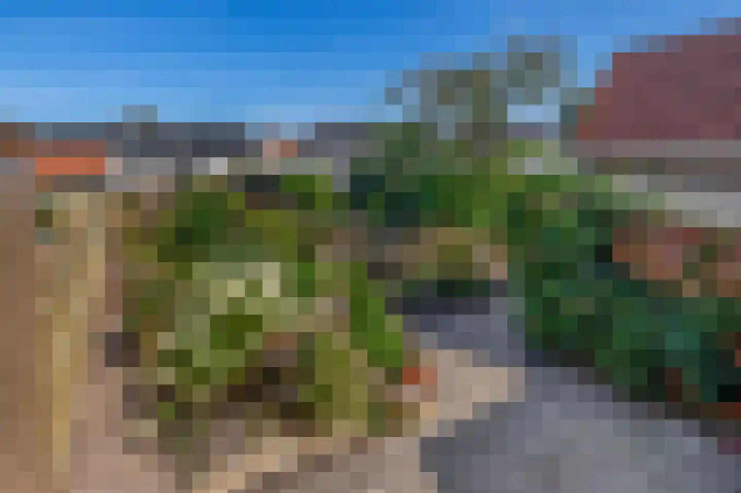 Festing 5 Wijckel thumbnail 28