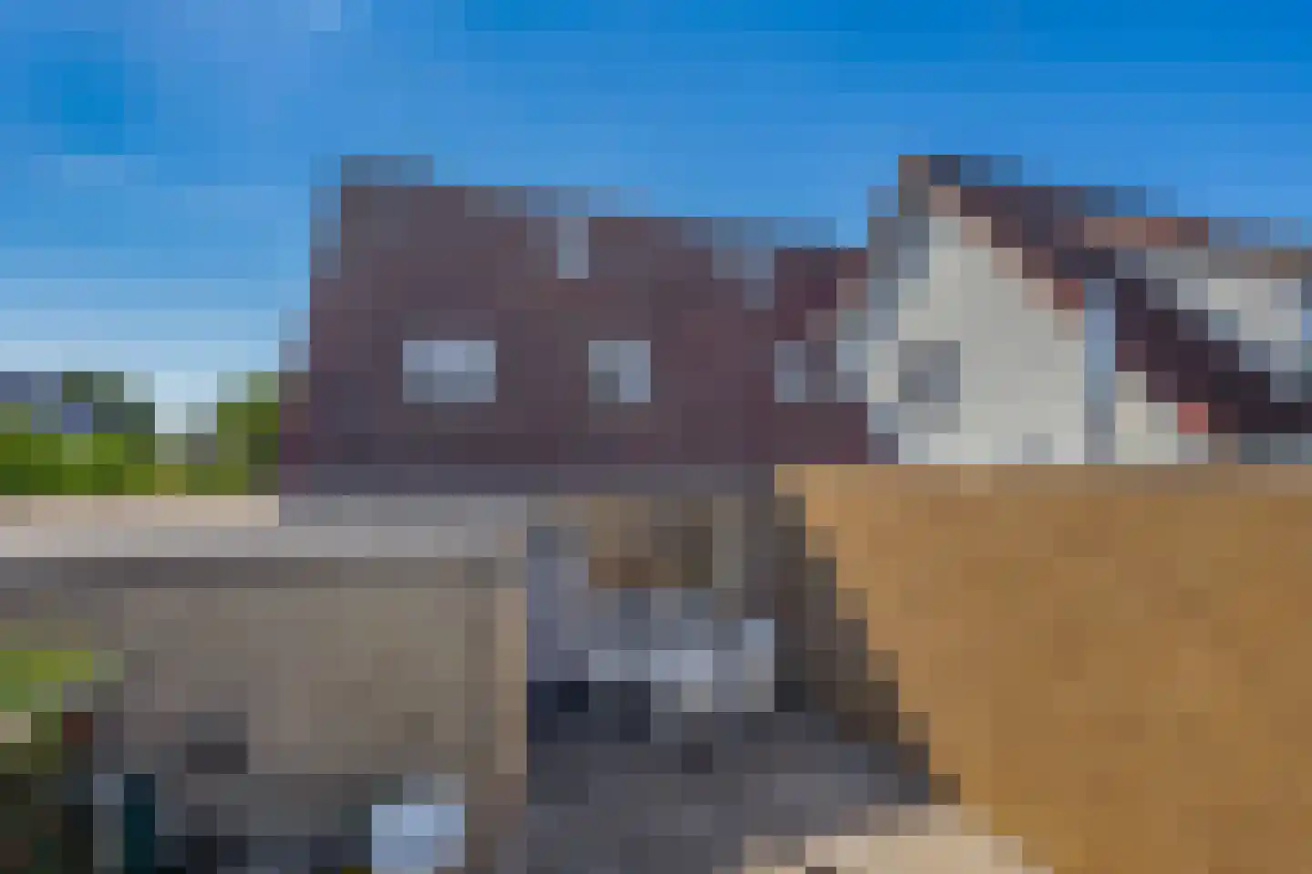 Festing 5 Wijckel thumbnail 29