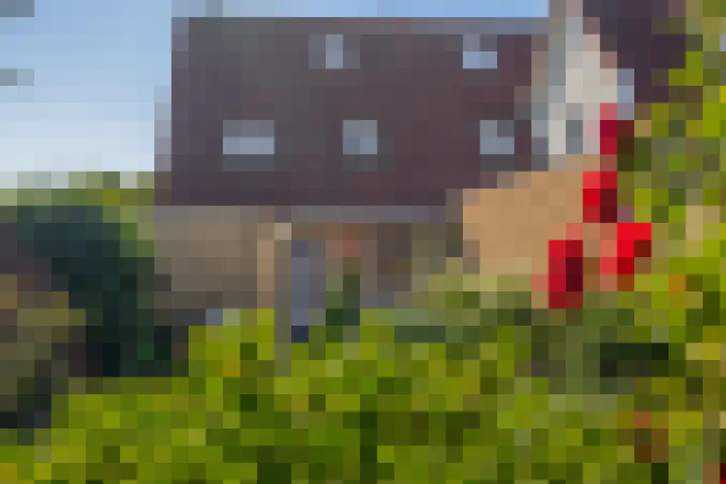 Festing 5 Wijckel thumbnail 30