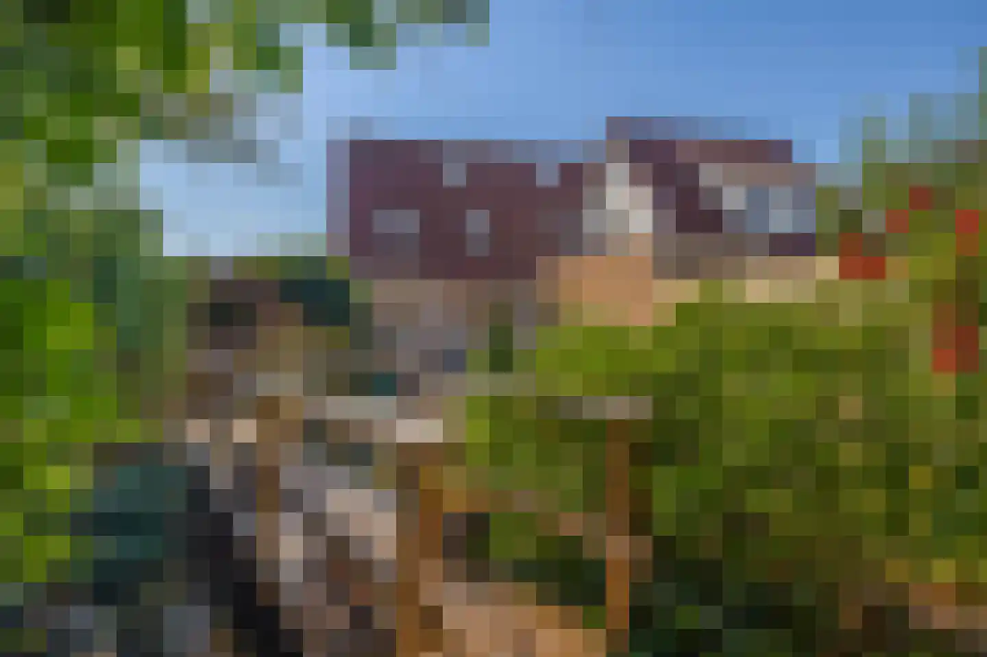 Festing 5 Wijckel thumbnail 31