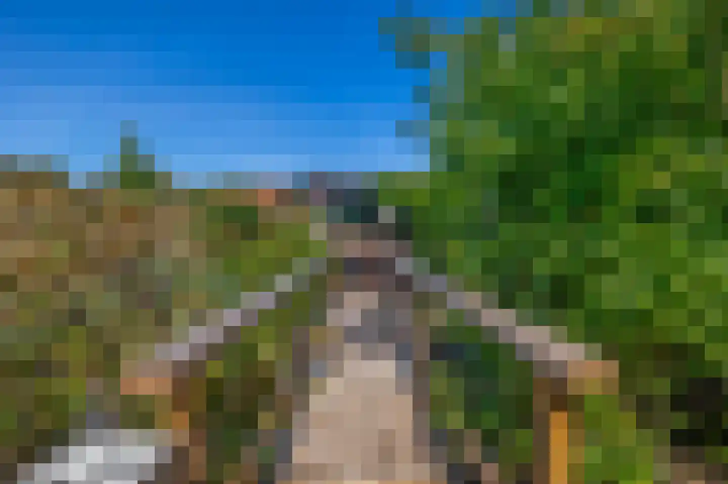 Festing 5 Wijckel thumbnail 32
