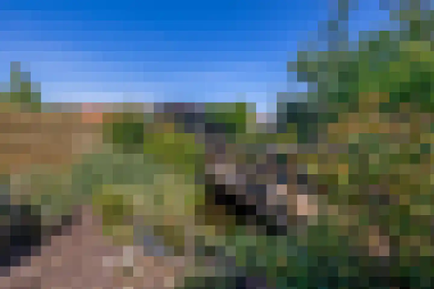 Festing 5 Wijckel thumbnail 33