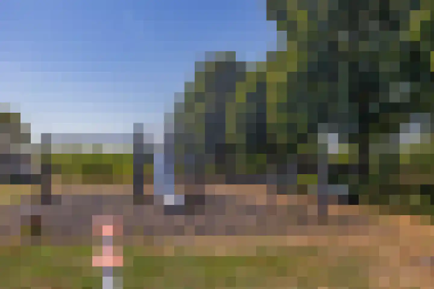 Festing 5 Wijckel thumbnail 36
