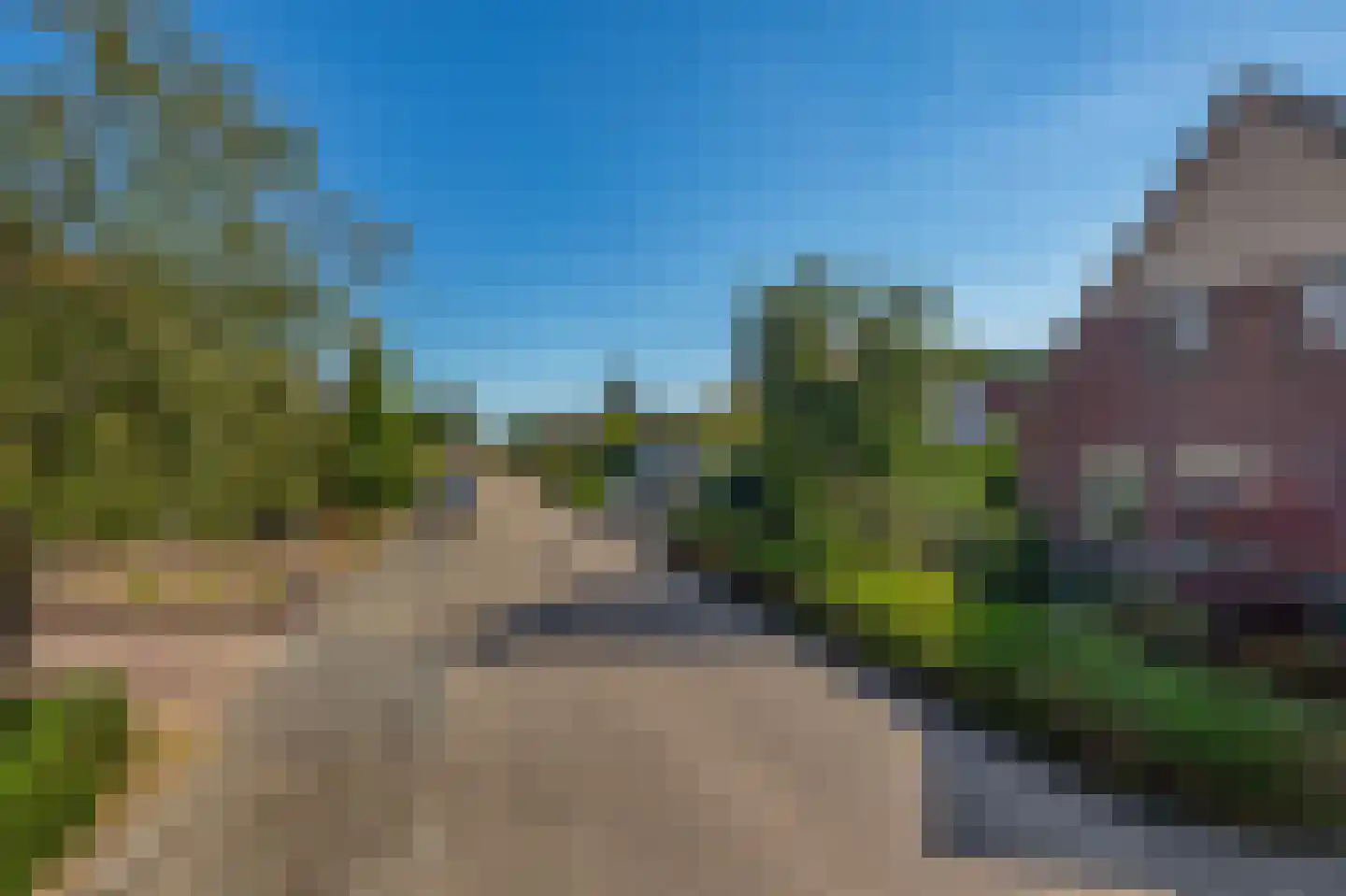 Festing 5 Wijckel thumbnail 4