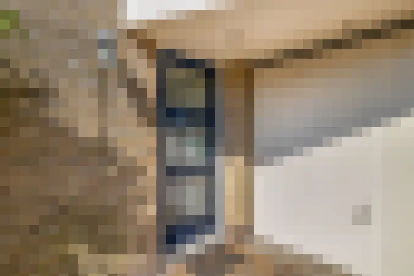 Festing 5 Wijckel thumbnail 5
