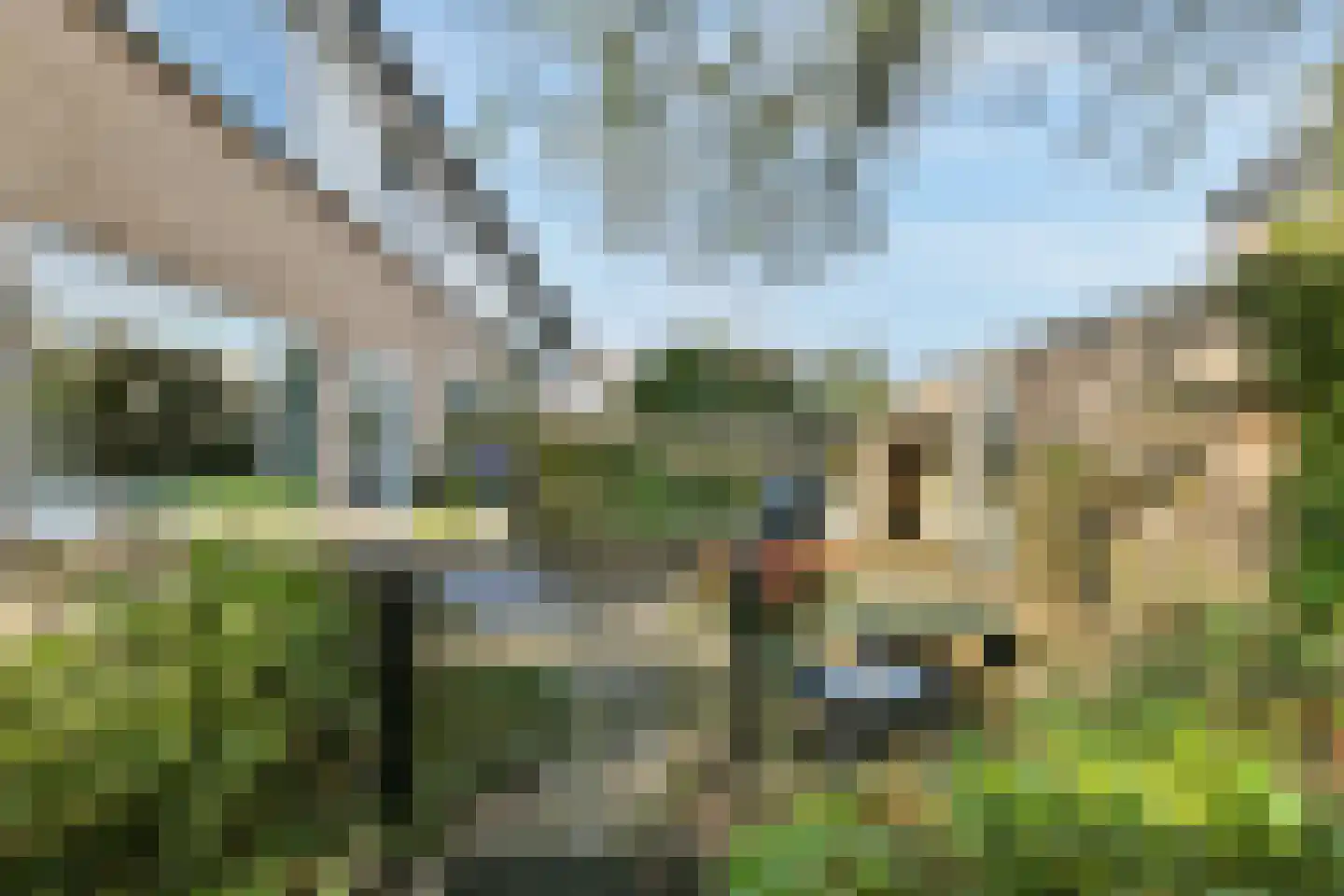 Fetha 5 Vreeland thumbnail 24