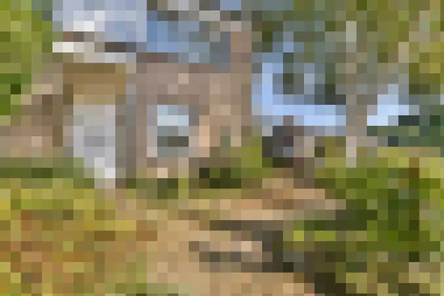 Fetha 5 Vreeland thumbnail 27